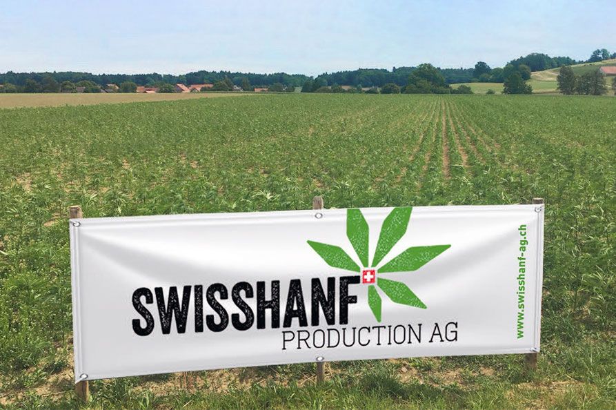 Swiss Hanf AG
